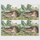 Hare konijn met zwarte staart (Lepus negricaudatus Cadeaupapier (Vlak)