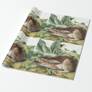 Hare konijn met zwarte staart (Lepus negricaudatus Cadeaupapier