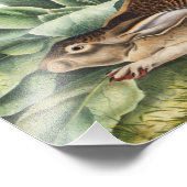 Hare konijn met zwarte staart (Lepus negricaudatus Foto Afdruk (Hoek)