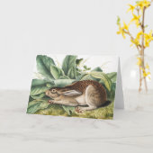 Hare konijn met zwarte staart (Lepus negricaudatus Kaart (Gele Bloem)