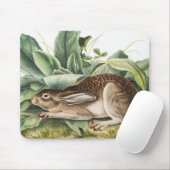 Hare konijn met zwarte staart (Lepus negricaudatus Muismat (Met muis)