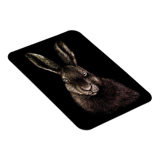 Hare, konijn, tekening magneet (Rechterzijde)
