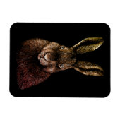 Hare, konijn, tekening magneet (Horizontaal)