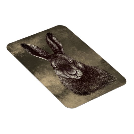 Hare, konijn, tekening magneet (Rechterzijde)