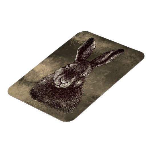 Hare, konijn, tekening magneet (Linkerzijde)