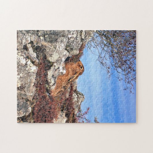 HARE LEGPUZZEL (Horizontaal)