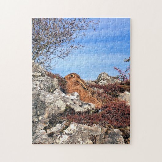 HARE LEGPUZZEL (Verticaal)