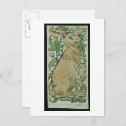 Hare (m/v op papier) briefkaart (Voorkant / Achterkant)