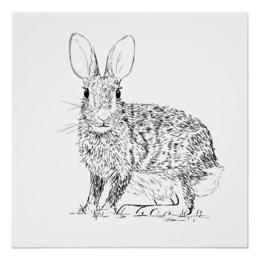 Hare Monochrome Print Perfect Poster (Voorkant)