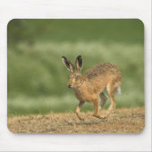 Hare Mousepad Muismat (Voorkant)