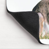 Hare Muismat (Hoek)