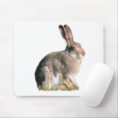 Hare Muismat (Met muis)