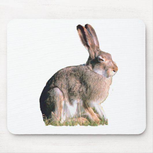 Hare Muismat (Voorkant)