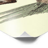 Hare print foto afdruk (Hoek)