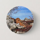 HARE RONDE BUTTON 5,7 CM (Voorkant)