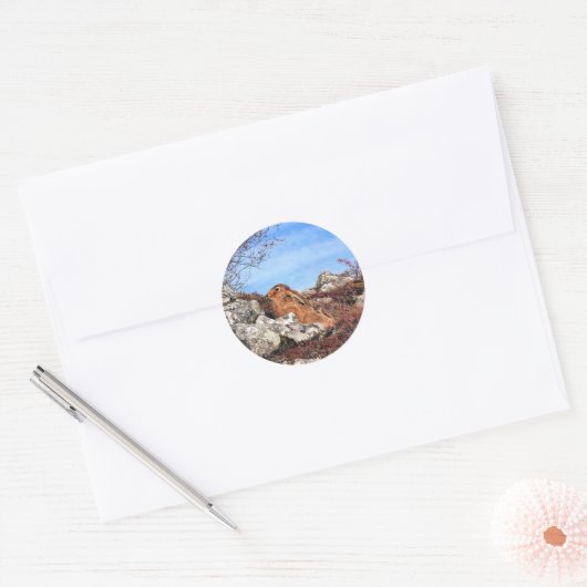 HARE RONDE STICKER (Envelop)