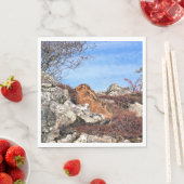 HARE SERVETTEN (Insitu)