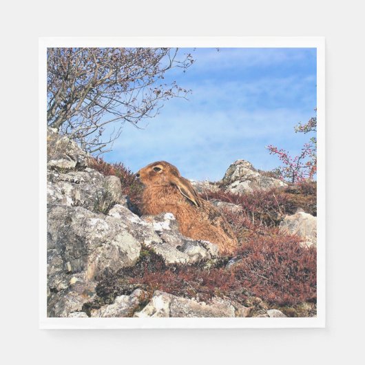 HARE SERVETTEN (Voorkant)