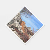 HARE SERVETTEN (Hoek)