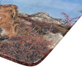 HARE SNIJPLANK (Hoek)