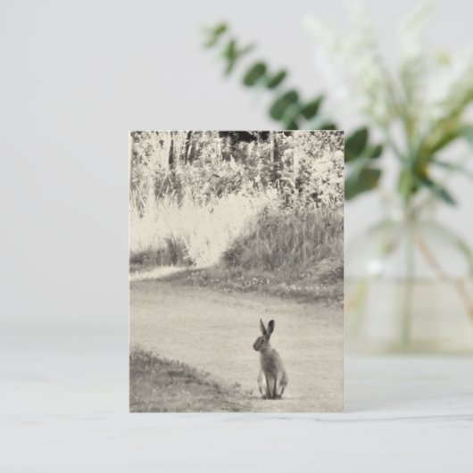 Hare vandaag briefkaart (Staand voorkant)