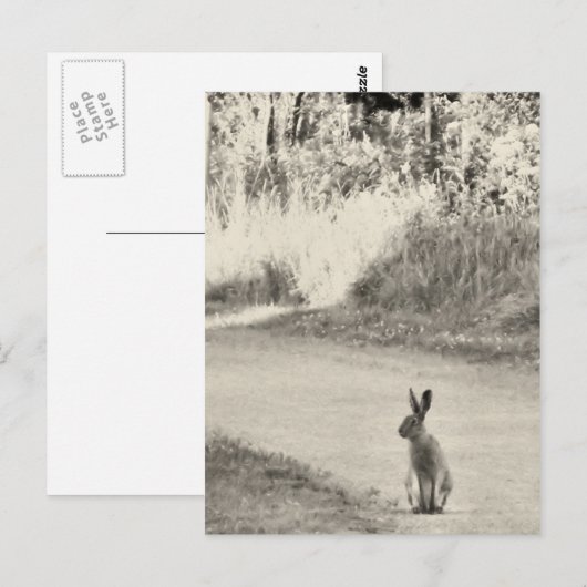 Hare vandaag briefkaart (Voorkant / Achterkant)