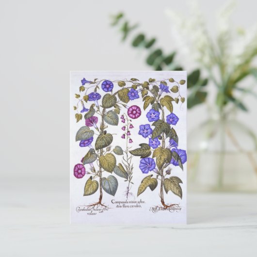 Harebell en Convovulus Briefkaart (Staand voorkant)