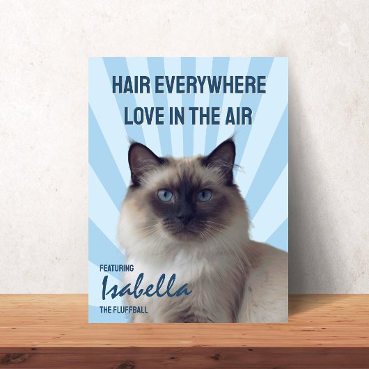 Harer Overal, Liefde in de Lucht Aangepaste Kat Po Poster