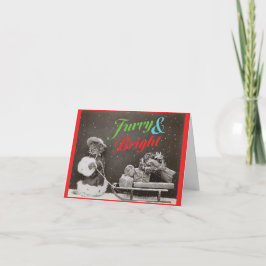 Harig en Helder, kat kerstkaart Feestdagen Kaart