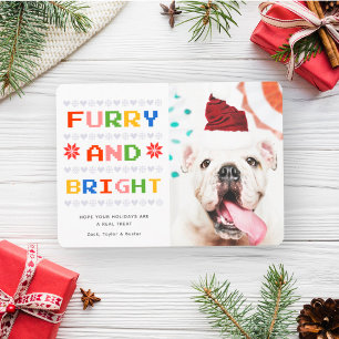 Harig en Helder   Kerstvakantiehuisdier Hond Foto Feestdagenkaart