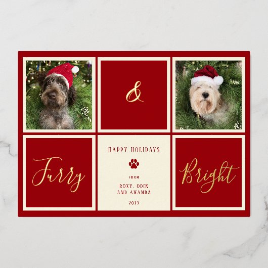 Harig en helder rood goud folie foto hond folie feestdagenkaart (Voorkant)