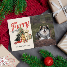 HARIG EN HELDER VROLIJK KERSTMIS HOND PET FURBABY