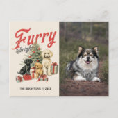 HARIG EN HELDER VROLIJK KERSTMIS HOND PET FURBABY FEESTDAGENKAART (Voorkant)