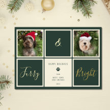 Harig en heldergroen goud folie foto hond