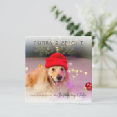 Harig & Helder | Foto Kerstmis Wenskaart Feestdagenkaart (Staand voorkant)