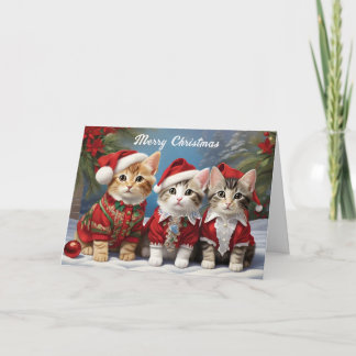 Harige vrienden in feestelijke hoeden Mooie katten Kaart