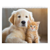 Harige vriendjes kalender (Hoes)