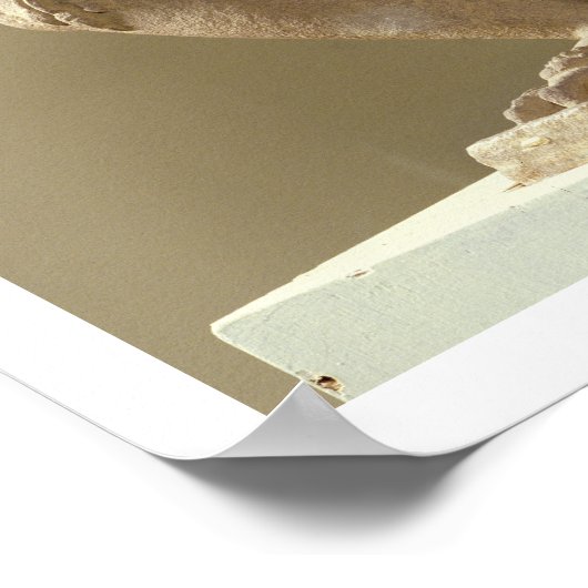 Harihara danst in de alidha pose, Prathara dyna Poster (Hoek)