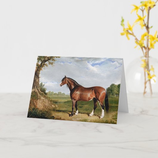 Haring - Een Clydesdale hengst, kunst, Kaart (Gele Bloem)