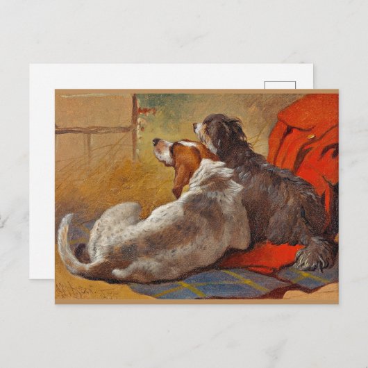 Haring - Een Hond en een Bearded Collie, Briefkaart (Voorkant / Achterkant)