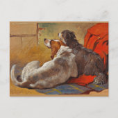 Haring - Een Hond en een Bearded Collie, Briefkaart (Voorkant)