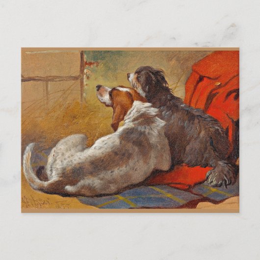Haring - Een Hond en een Bearded Collie, Briefkaart (Voorkant)