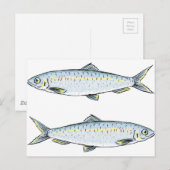 Haring Fish Sketch Briefkaart (Voorkant / Achterkant)