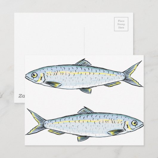 Haring Fish Sketch Briefkaart (Voorkant / Achterkant)