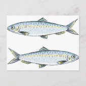 Haring Fish Sketch Briefkaart (Voorkant)