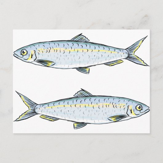 Haring Fish Sketch Briefkaart (Voorkant)