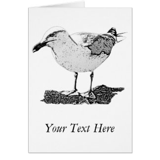 Haring Gull Card