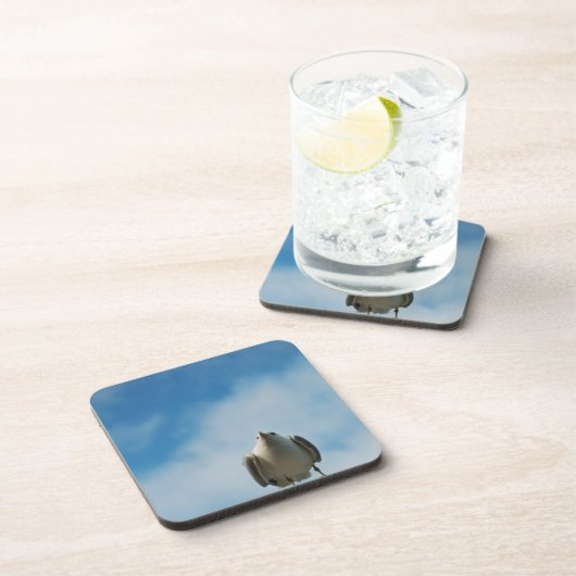 Haring Gull Cork Onderzetter (Rechterzijde)