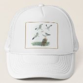 Haring Gull Pet (Voorkant)
