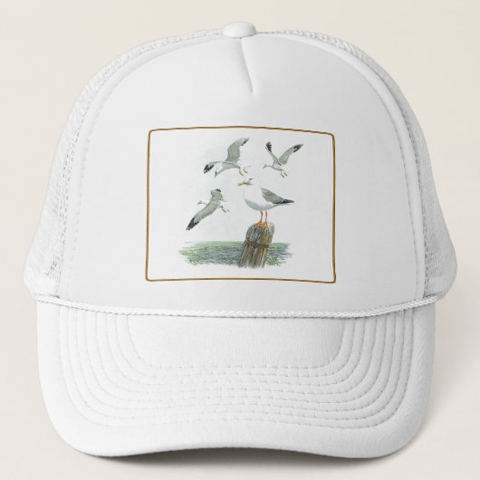 Haring Gull Pet (Voorkant)